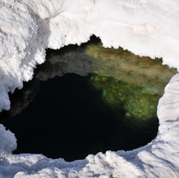 Watering hole/
		    