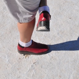 Lowest salt in North Americal/
		    