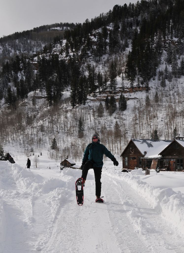 Graceful on snowshoes/