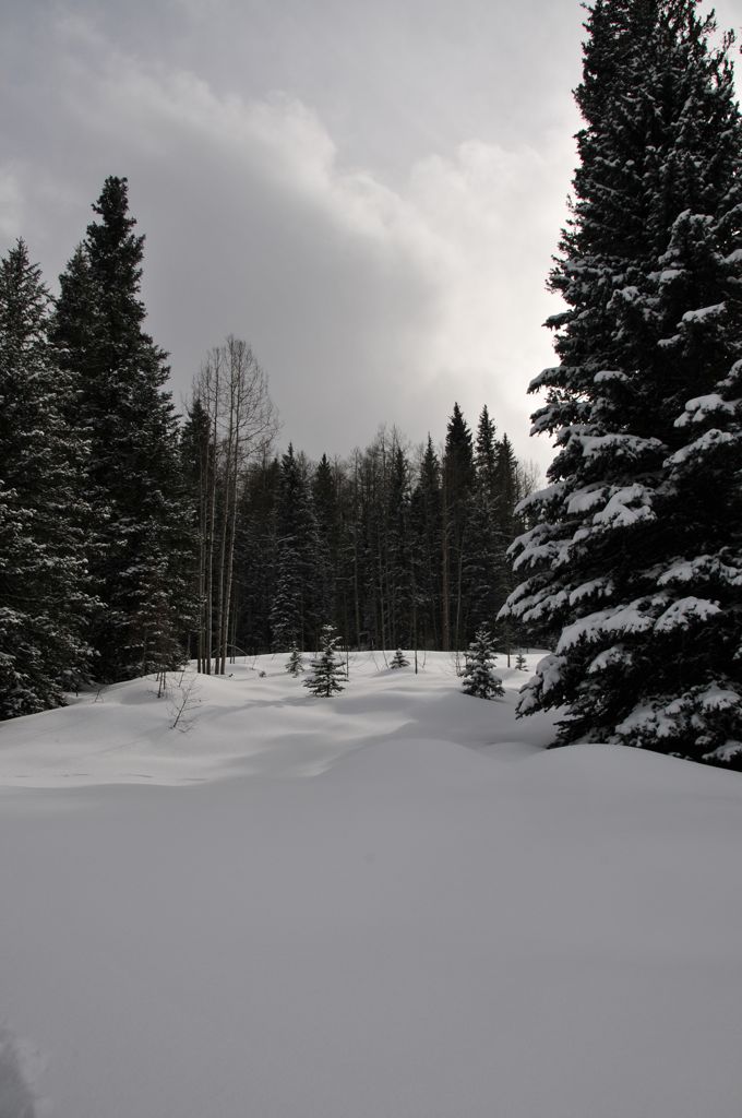 The trail... she was gone!/