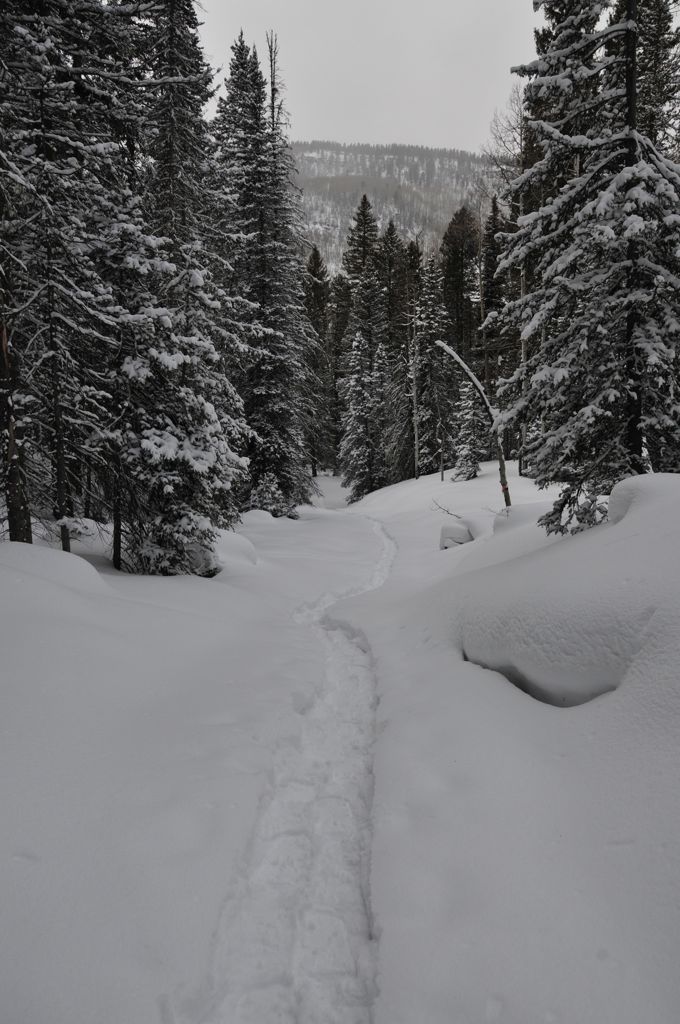 Not a shabby trail /