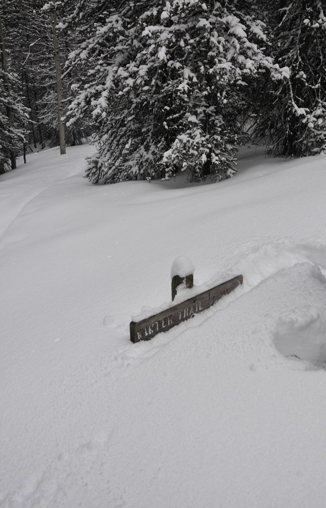 Winter Trail turnoff! Good eyes baby for spotting it!/