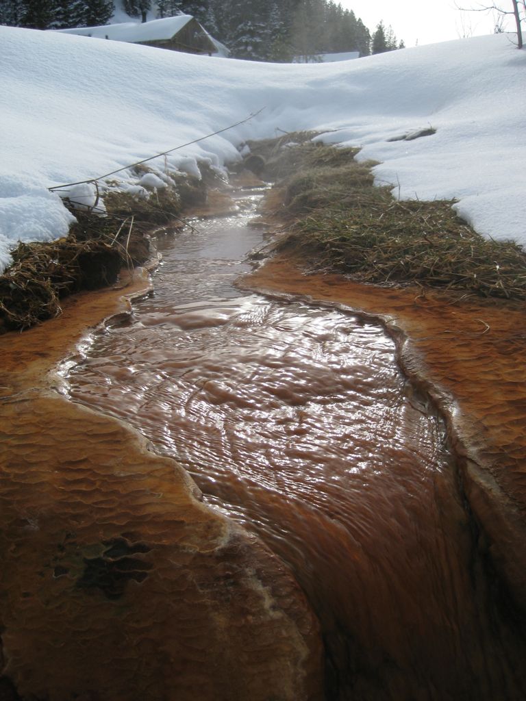 Directly from The Source/