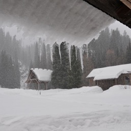 ... and snowed.../
		    