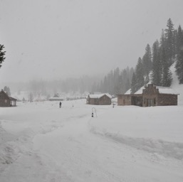 ... and snowed.../
		    