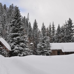 Until the next morning. 11 inches!/
		    