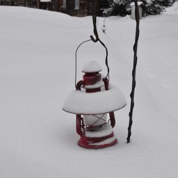 Did I mention the lanterns?/
		    