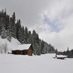 Buried in fresh snow/
		    