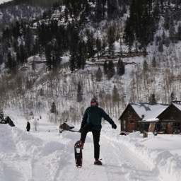 Graceful on snowshoes/
		    
