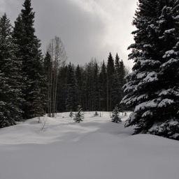 The trail... she was gone!/
		    