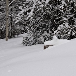 Is that the trail marker?/
		    