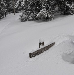Winter Trail turnoff! Good eyes baby for spotting it!/
		    
