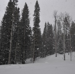 Another snow storm/
		    