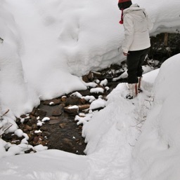 Contemplating the stream.../
		    