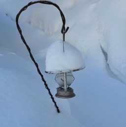What is it about the lanterns?/
		    