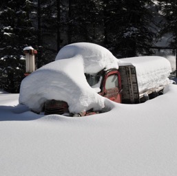 Kind'a buried!/
		    