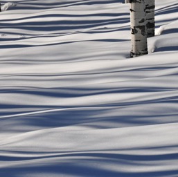 Funky shadow/
		    