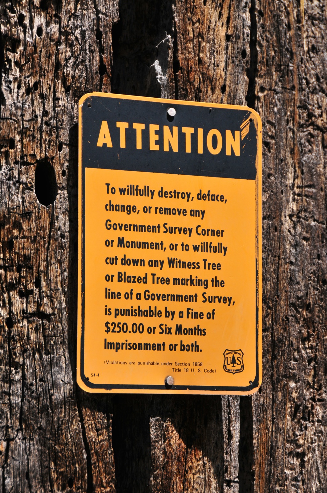 A lot of big words for just $250 bucks of punishment!/