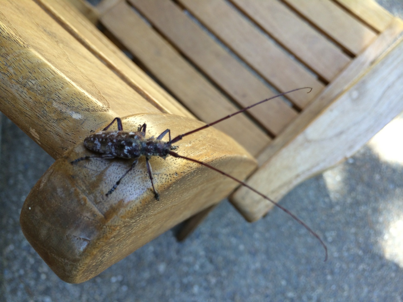 We are not alone at camp/