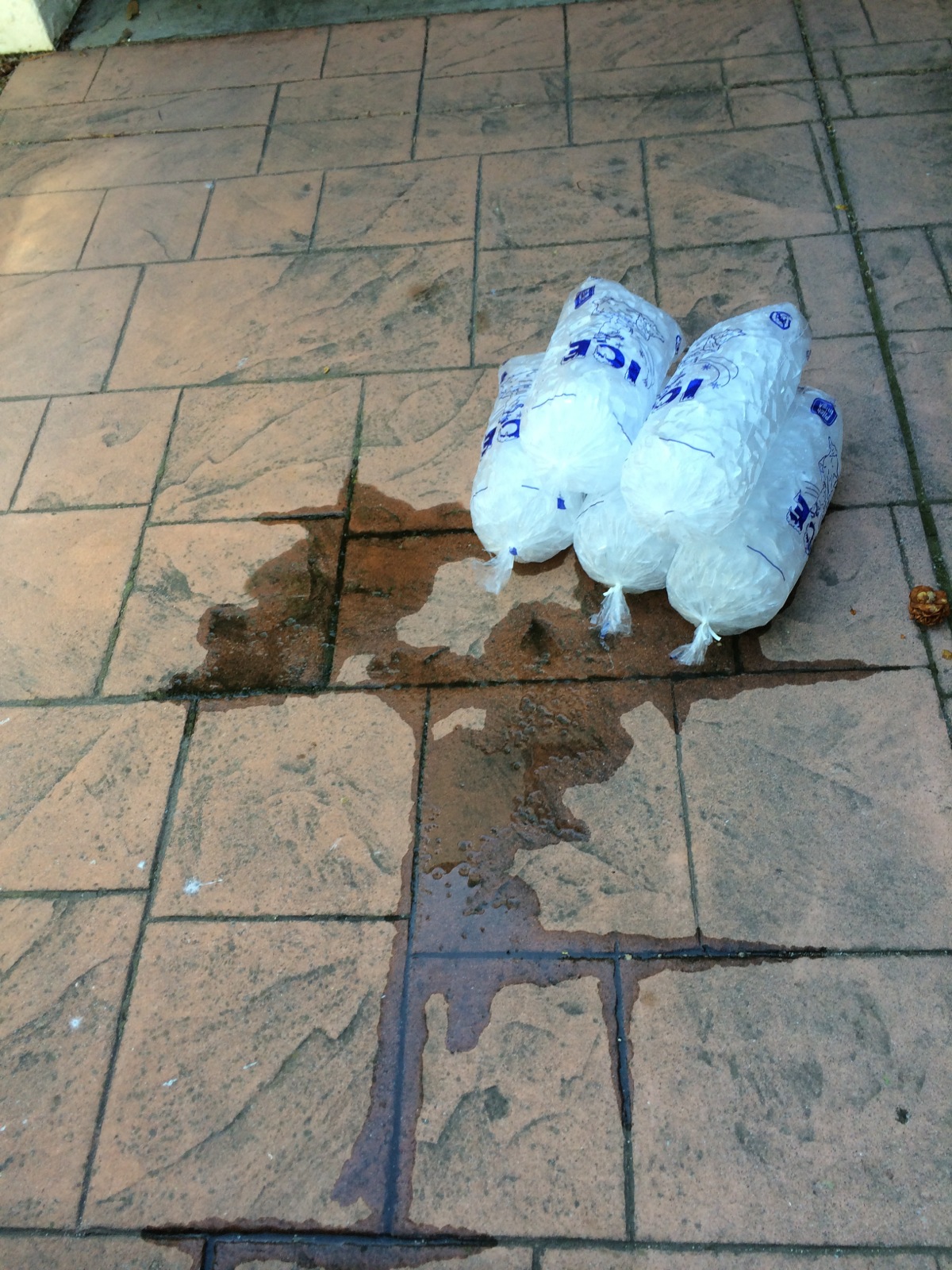 ... Except for 40 lbs of ice./