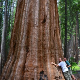 Tree huggers/
		    