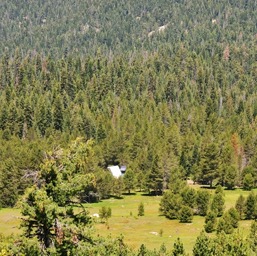 Looking down to the cabins/
		    