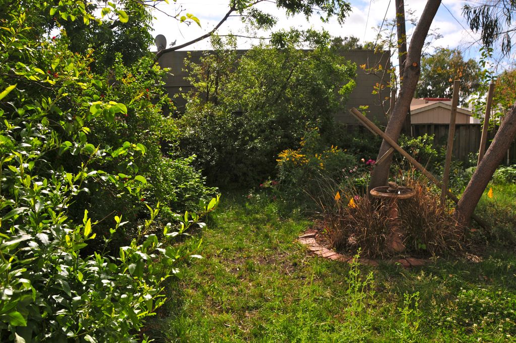 Looking towards what will be the BBQ patio/