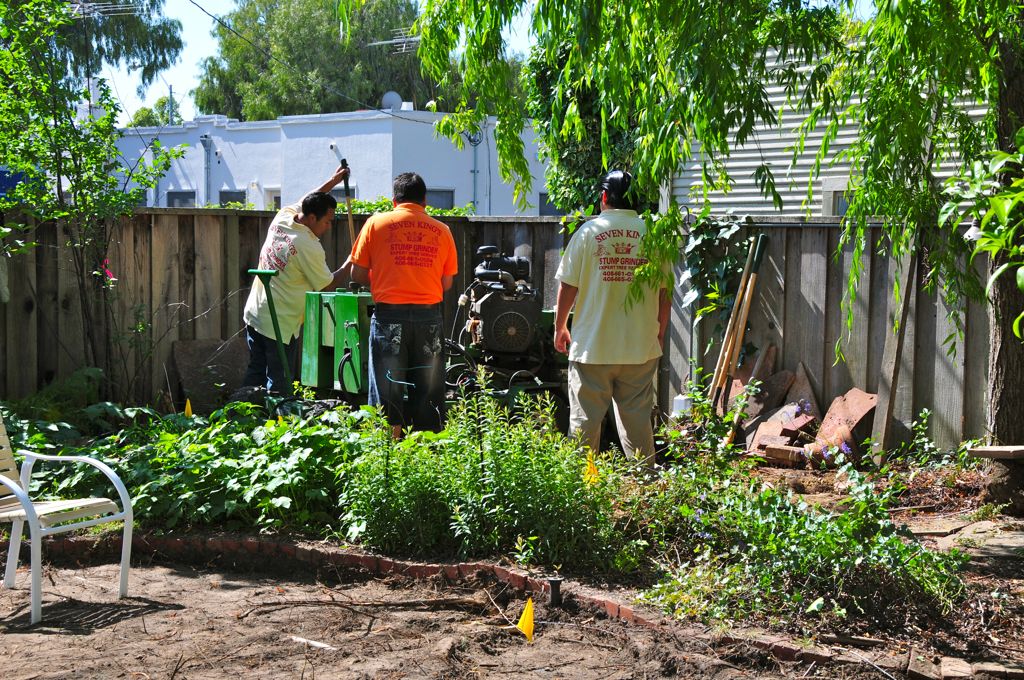 Wait a minute! We're not done!/