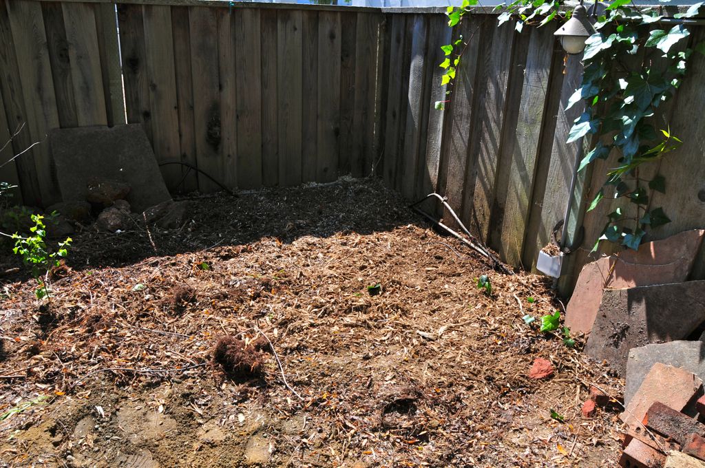 Stump? What stump??/