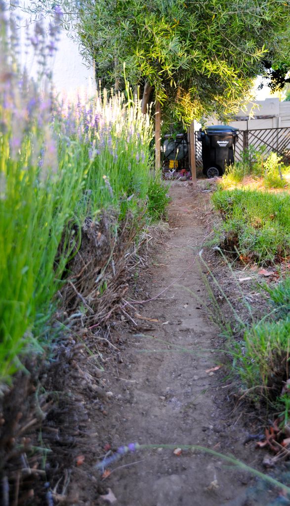 What will be the property-line wall/