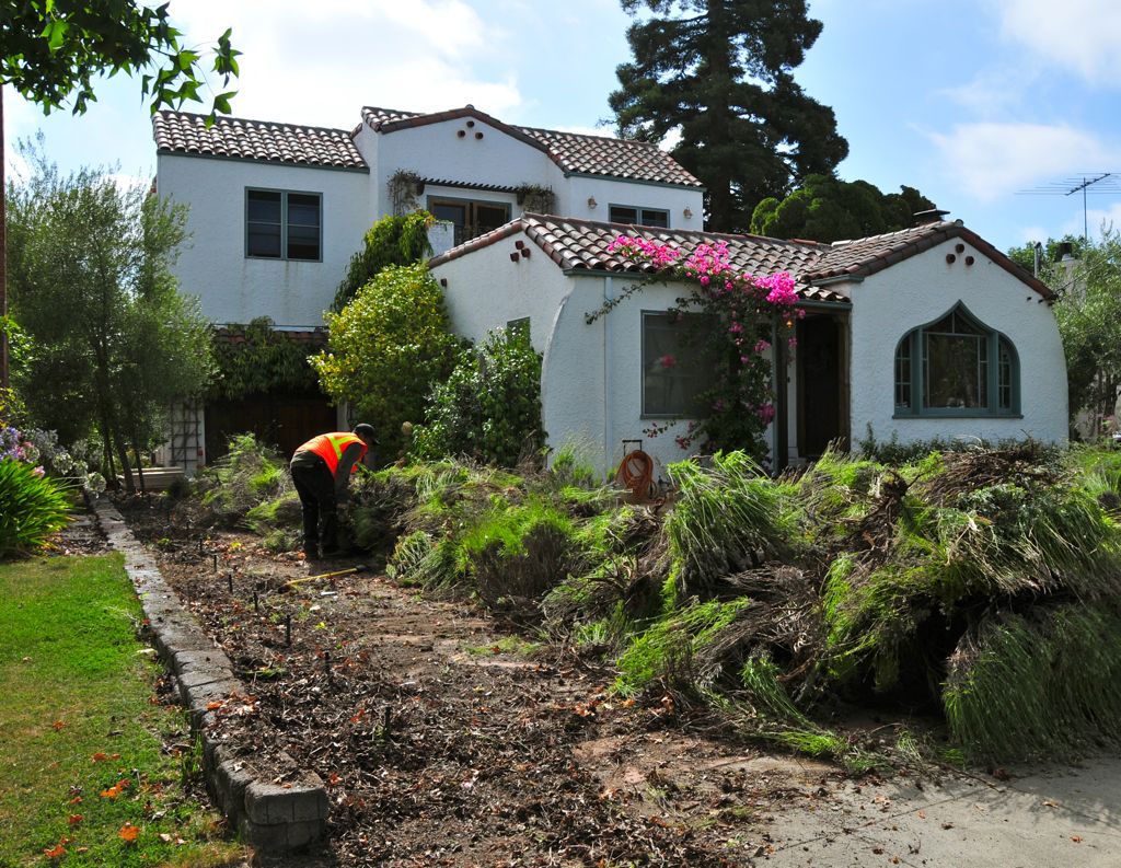 OMG! My poor front yard!/
