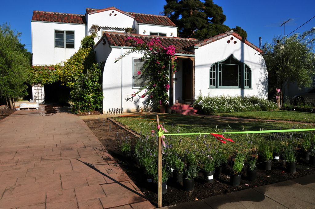 Lavenders pick their spots/