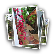 Garden Remodel