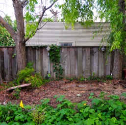 The old patio.../
		    