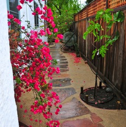 Boom! Sideyard walkway - done!/
		    