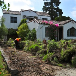 OMG! My poor front yard!/
		    