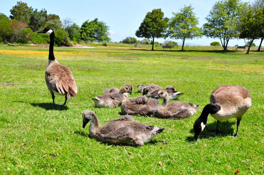 Exhausted from eating!/