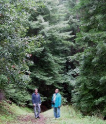 CampW