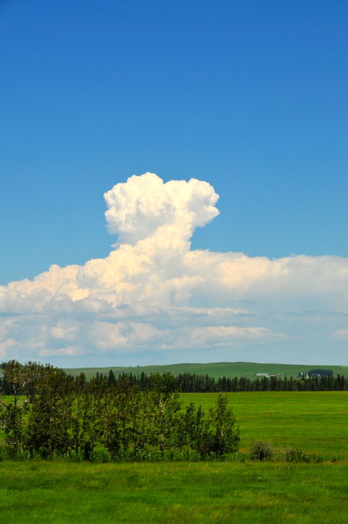 From flat fields.../