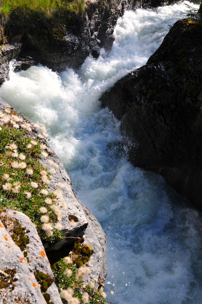 Crazy Maligne Canyon/