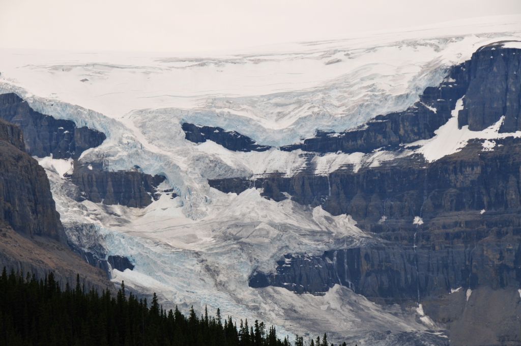 Columbia Icefields/