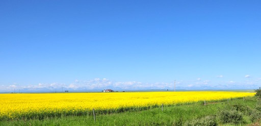 Southern Alberta