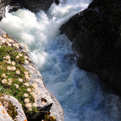 Crazy Maligne Canyon/
		    