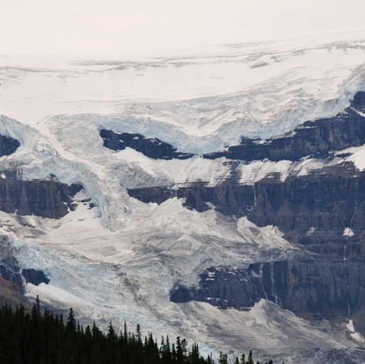 Columbia Icefields/
		    