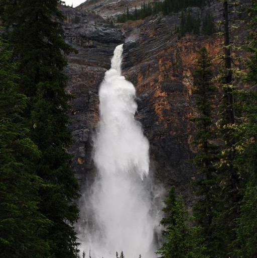 Takakkaw Falls, Yoho NP/
		    