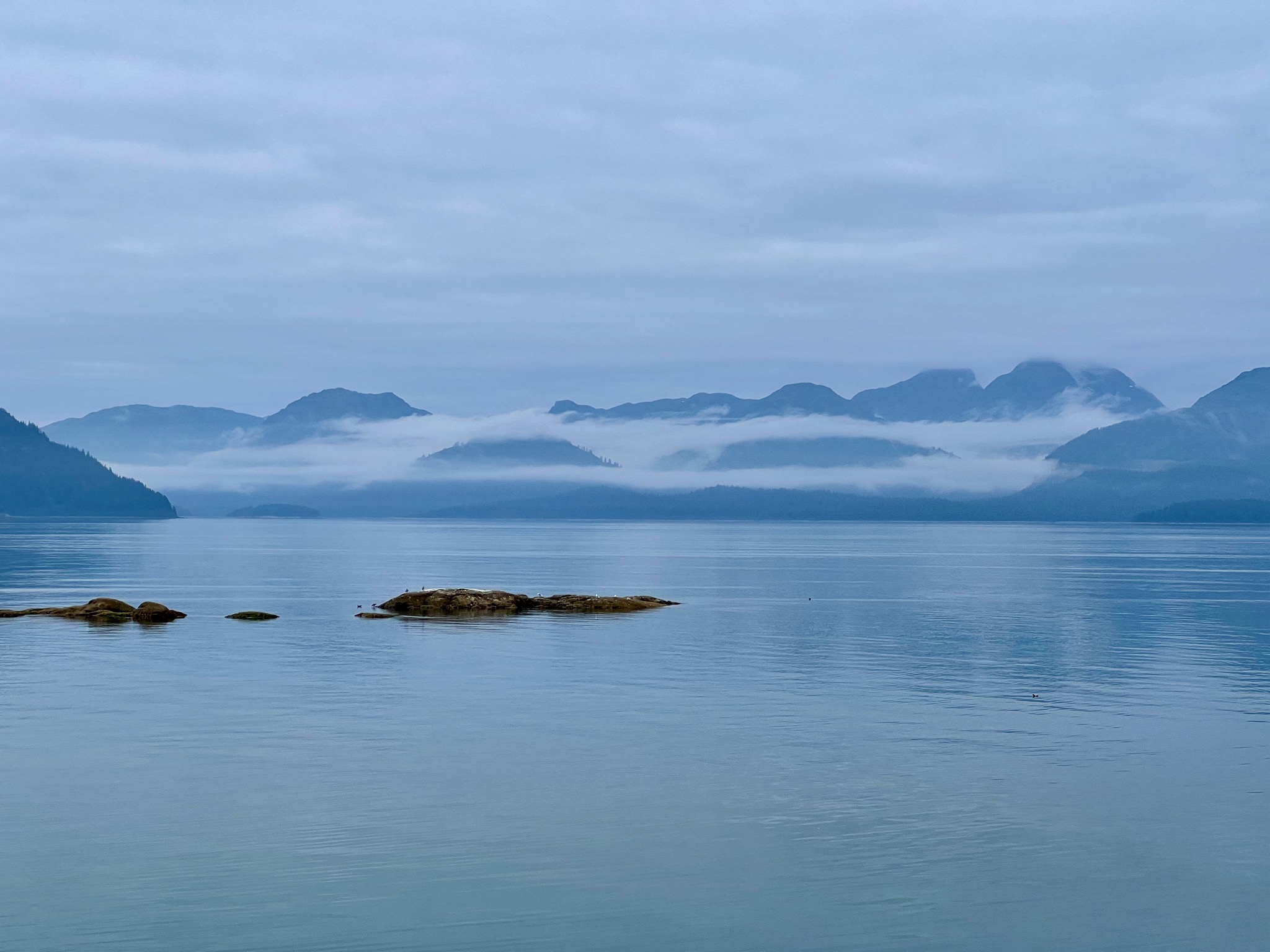 Glacier Bay National Park & Preserve/