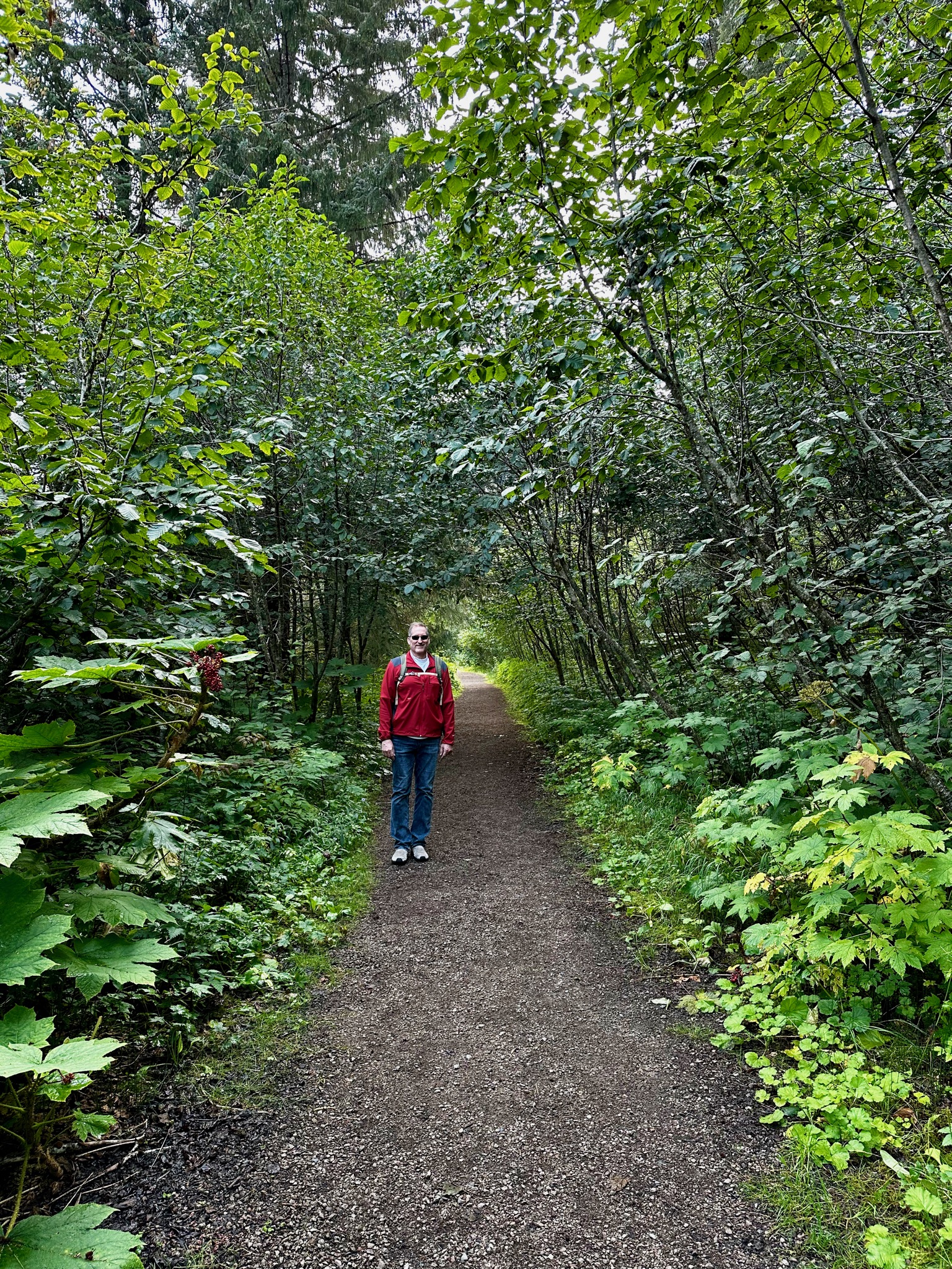 Bartlett River Trail, Glacier Bay National Park & Preserve/