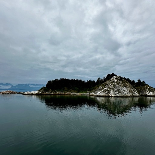 South Marble Island, Glacier Bay National Park & Preserve/
		    