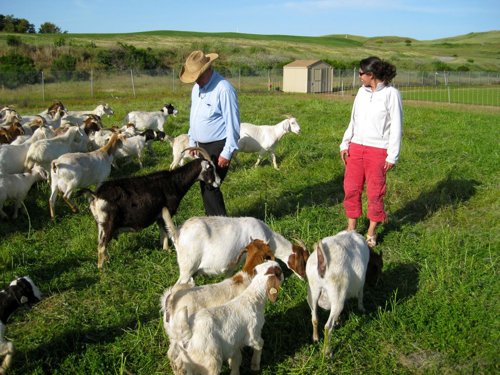 Mike invites us into the fence/
