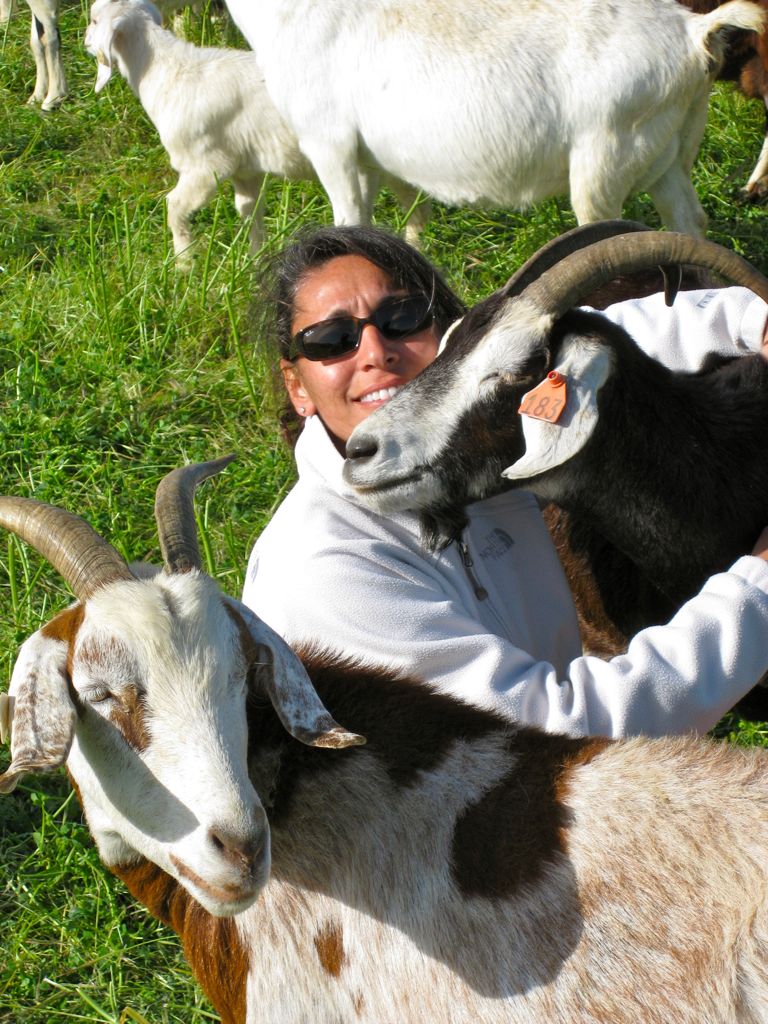 ... and head-butts!/